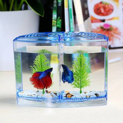 Petzlifeworld Double House Betta Tank Small Fish Tank for Fighter Fish Rectangle Aquarium Tank
