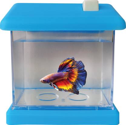 FlyExtreme Mini Betta Fish Rectangle Aquarium Tank