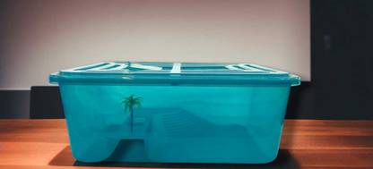 OMSHIVISH TURTLE AQUARIUM TUB WITH PLATFORM|HIGH QUALITY MATERIAL| NO ACCESSORIE INCLUDED Rectangle Aquarium Tank