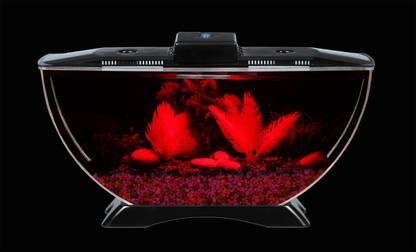 Blue Marlin half moon 005 Round Ends Aquarium Tank