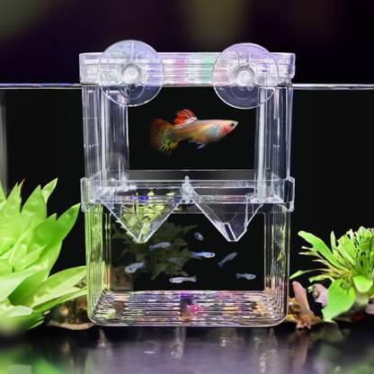 Animaux Aquarium Fish Multi Function Isolation Breeding Box (8.5-7.5-11.5) Rectangle Aquarium Tank