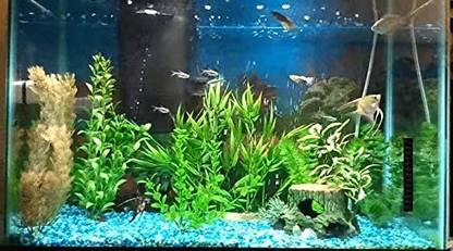 PMW FTA-4642 Rectangle Aquarium Tank