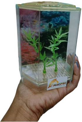 MAGPRE Single Betta 4 inch 10 CM Small Fish Tank (0.5L) Rectangle Aquarium Tank