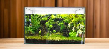 OMSHIVISH EXTRA CLEAR CURVED GLASS AQUARIUM TOUGH |EMPTY| Rectangle Aquarium Tank