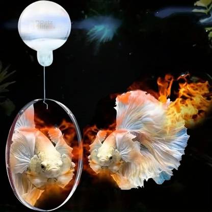 VAYINATO 4Cm Double Sided Betta Mirror Plaything for Fish Tank, Betta Exercise Mirror Aquarium Tool