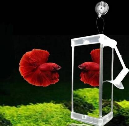 Animaux (DYJ-10) Rumble Fish Betta Training Mirror Aquarium Tool