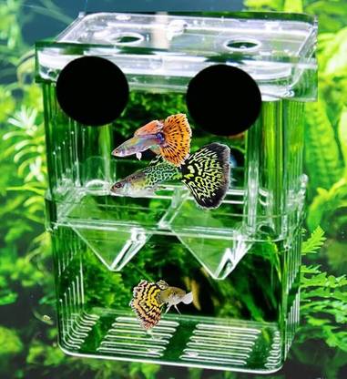 Scroll Store Aquarium Double Deck breeding Box for Fish | Isolation Box for Fish and Shrimp Aquarium Tool