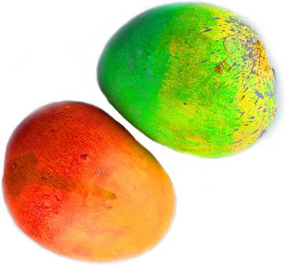 ATNAYAJ Handmade Clay Fruits Ripe Mango and Raw Mango/Clay Fruits Showpiece Art Clay