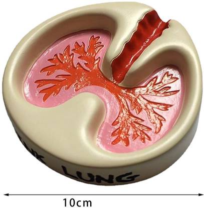 Lyla Creative Ashtray Lung Pattern Elegant Resin Funny Desktop Ashtray for Bars