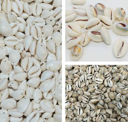 Beadsnpearls Mix Cowrie shells White/Grey/Cut Pack of 300 Pcs (Each 100 Pcs)