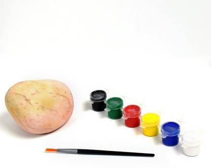 ASIAN HOBBY CRAFTS Mini Rock Painting Kit,with Googly Eyes and 1 Big Size Rock,Brush
