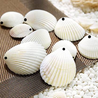 Uniqon (Pack of 100 Gram) White Sea Shells Sippi Suitable for Aquarium Fish Tank
