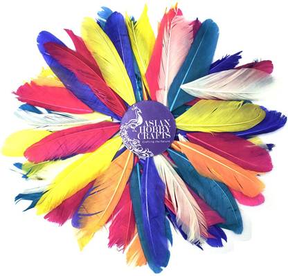 ASIAN HOBBY CRAFTS Natural Dyed Feathers (Multi-Size, Assorted Colours) Pack of 100 Pieces