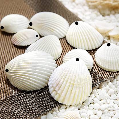 Adhvik (Pack of 400 Gram) White Sea Shells Sippi Suitable for Aquarium Fish Tank