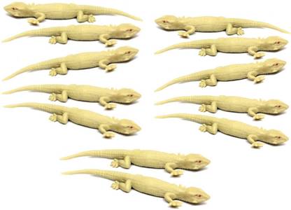 imtion ( 12 PCS REAL LOOKING CHIPKALI ) LIZAR TOY FRANK FAKE LIZARD RUBBER TOY ENJOYED