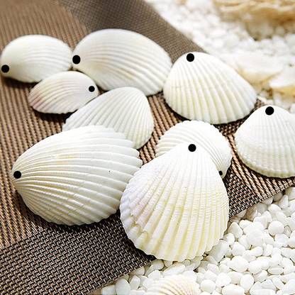 Adhvik (Pack of 300 Gram) White Sea Shells Sippi Suitable for Aquarium Fish Tank