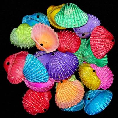 Adhvik (Pack of 100 Gram) Multi-Color Sea Shells Sippi Suitable for Aquarium Fish Tank