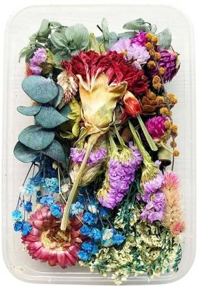 OYTRA Natural Dried Flower Box for Resin Art Real Multicolored Pressed Flowers Resin Art Medium