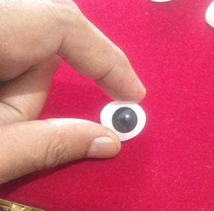 Ashnoor SEYE2.2 Artificial Eye