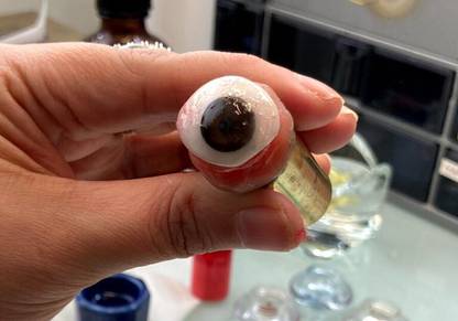 Ashnoor ASHEY2224 Artificial Eye