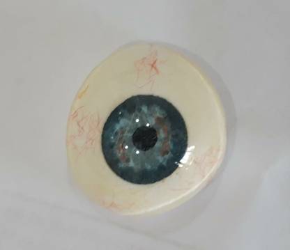 Ashnoor EYEG002 Artificial Eye