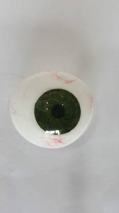 Ashnoor Artificial Eyes Artificial Eye