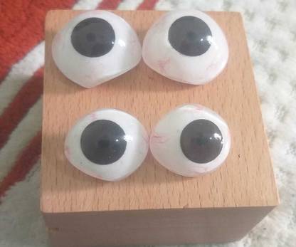 Ashnoor BEYE2.4 Artificial Eye