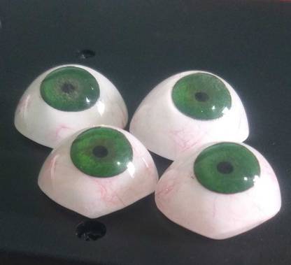 Ashnoor A2023 Artificial Eye