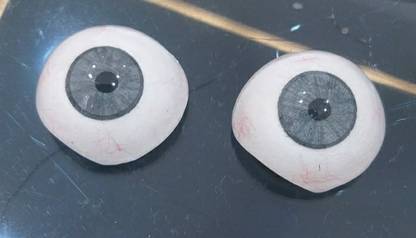 Ashnoor EYEH01 Artificial Eye
