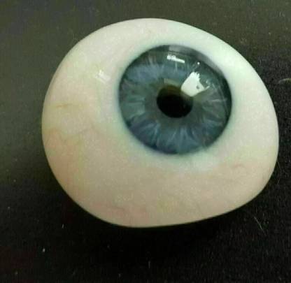 RVMEDICS e4204 Artificial Eye