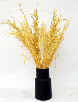 vanchai Multicolor, Black Dried Sticks Artificial Flower  with Pot