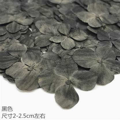 CRAFTARA BY MONIKA Natural Real Dried & Pressed Hydrangea Flower for Art Craft for DIY Jewelry Grey Hydrangea Artificial Flower