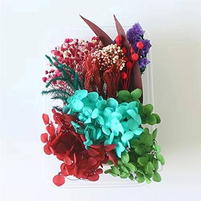 IKALAA Preserved Dried Flowers|Resin Art |Nail Art | Jewelry (Multicolor) Multicolor Hydrangea, Dried Sticks, Eucalyptus, Wild Flower Artificial Flower