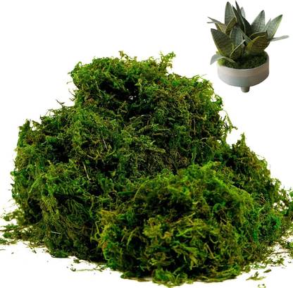 Verilux Realistic Moss for Planter Decorative Fake Moss Miniature Garden Dark Green 200g Green Dried Twigs Artificial Flower