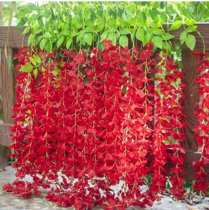 Hyperboles 12 Artificial Hanging Flower Ceiling Decor Wall Hanging Creeper - 45 Inch Red Westeria Artificial Flower