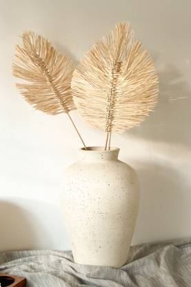 Coastal Habitat Bohemian Leaves ( Set of 3) | 100% Natural Beige Dried Sticks Artificial Flower
