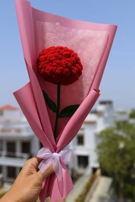 Clapjoy Handmade Crochet Carnation Flower – Red Wool Flower in Pink Wrap with Bow Red Carnations Artificial Flower