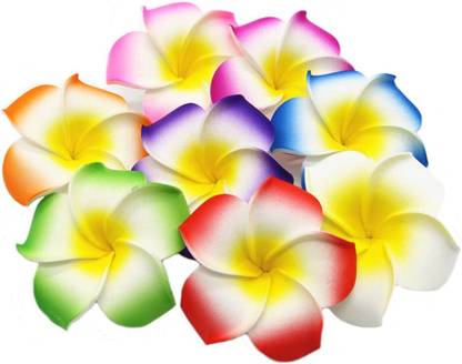 SHIVAMKRAFT 12 Pcs Artificial White Fake Foam Hawaii Frangipani Beach Floating Flowers Multicolor Frangipani Artificial Flower