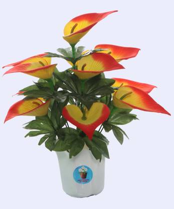 CHAUDHARY FLOWER Chaudhary Flower Anthurium Flower With Basket for Home and Office Décor Multicolor Anthurium Artificial Flower  with Pot