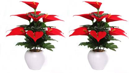 Wild Flower Anthurium Banch with Pot Red Anthurium Artificial Flower  with Pot