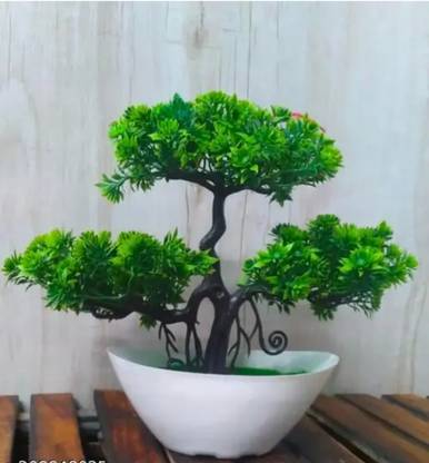 Jaymaa Collection Green Wild Flower Artificial Flower  with Pot