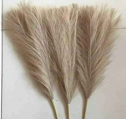 Royal Sapphire Dried Pampas Grass For Wedding Beige Dried Sticks Artificial Flower