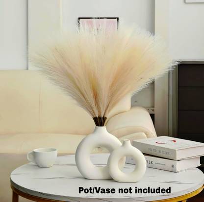 TheLeafAndLight Beige Pampas Grass for Home Decor Beige Dried Sticks Artificial Flower
