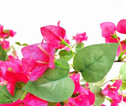 Nutts Bougainvillea flower bail Pink Bougainvillea Artificial Flower