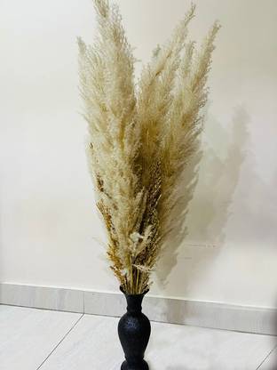 Sarah Fiori Pampas Natural White Dried Sticks Artificial Flower