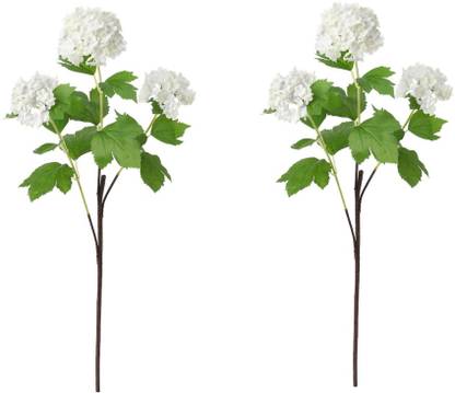 Chitra Snow White White Orchids Artificial Flower