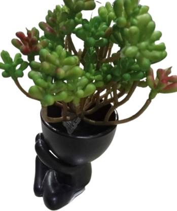 biju thomas Green Iris Artificial Flower  with Pot