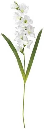 IKEA Artificial Flower, Gladiolus/White, 100 cm (39 ¼ ") White, Green Gladiolus Artificial Flower