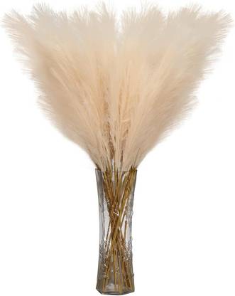 Axmon Dried Pampas Grass Tall Stems For Home Décor Office Bedroom Table Wedding Beige Dried Sticks Artificial Flower