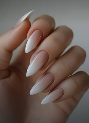 FWS Fashionworldshop Glossy Nude Ombre (Shape Long Stiletto with Application Kit) Nude
